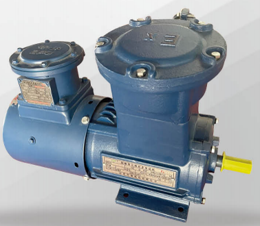 YB VF2 隔爆型三相異步電動機(jī)